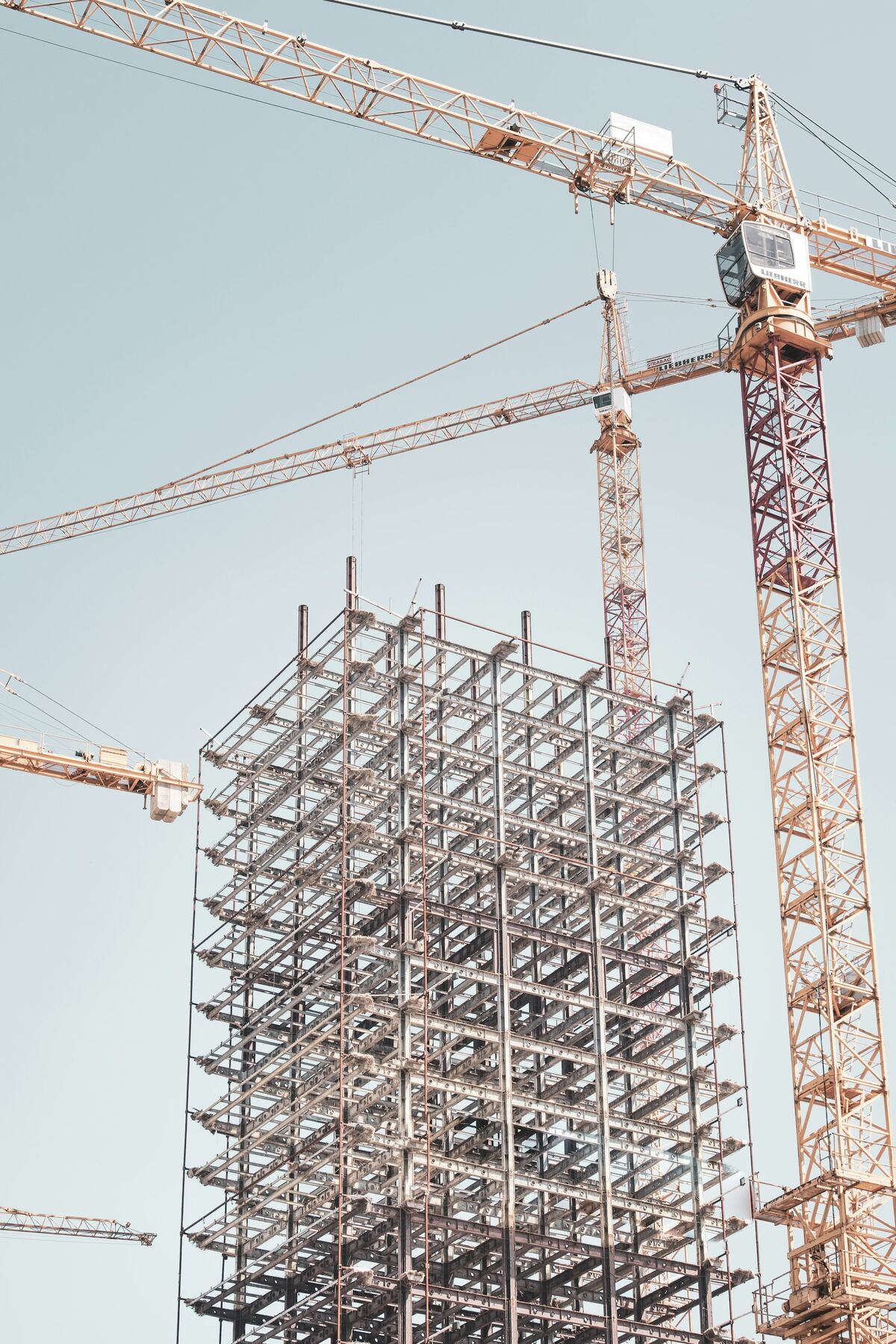 A steel building frame beside a tower crane